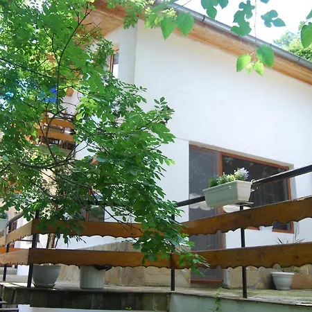 For Rent - Desi * Варна