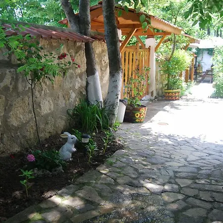 Desi Varna