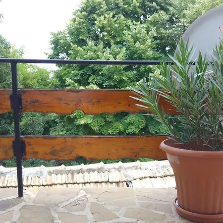 For Rent - Desi Варна